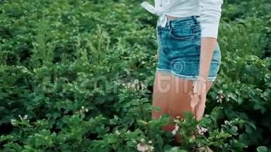 一个穿短裤的年轻农民女孩走过田野。 <strong>农产品</strong>种植.. <strong>有机</strong>产品